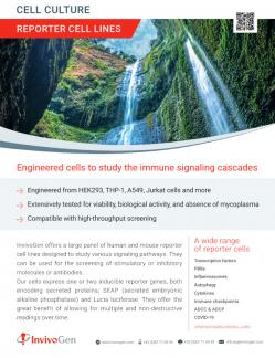 Reporter Cell Lines