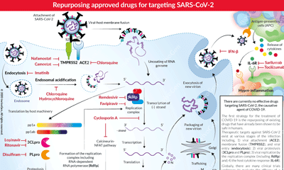 sars cov invivogen repurposing infection