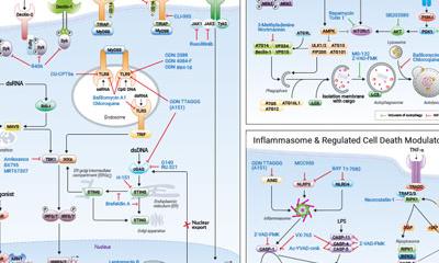 TLR, RLR, CLR & AhR Inhibitors