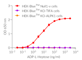 Functional validation of ADP-L-Heptose