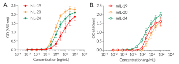 Dose-response of HEK-Blue™ IL-19/IL-20 cells to recombinant cytokines