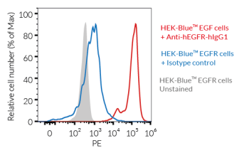 Validation of the expression of human EGFR by HEK-Blue™ EGF cells