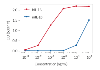 Response of HEK-Blue™ IL-1β cells to recombinant IL-1β