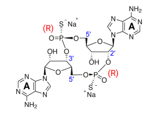 Chemical structure of ADU-S100 / 2’3’-c-di-AM(PS)2 (Rp,Rp)