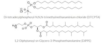 Chemical Structures of the Lipid Components of LyoVec™