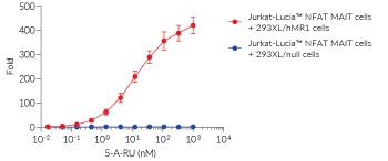 MR1-dependent Lucia® activity in MAIT TCR reporter cells