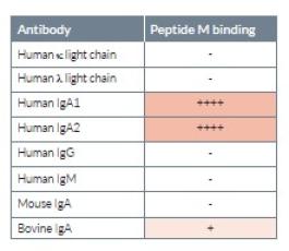 Peptide M binding