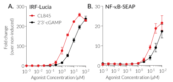 RF and NF-κB dose-responses induced by STING agonist CL845 (cAIM(PS) Difluor (Rp))