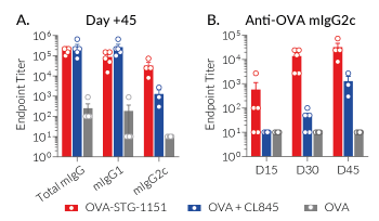 Induction of anti-OVA immunoglobulin responses