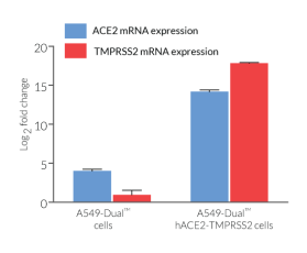 Validation of ACE2 and TMPRSS2 overexpression by RT-qPCR in A549-Dual™ hACE2-TMPRSS2 cells