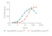 A549-Dual™ cell stimulation with 3p-hpRNA/LyoVec™