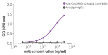 Validation of Anti-CoV2RBD-c2-hIgG1 binding to SARS-CoV-2 RBD by ELISA