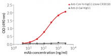 Binding of Anti-CoV-N-hIgG1 to SARS-CoV-2 nucelocapsid by ELISA