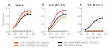 ELISA with Anti-CoV2RBD-(bam or ete)-mIgG2a mAbs