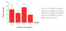 Luciferase-based ELISA using RBD-Lucia