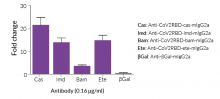 RBD-LuciaV8 (B.1.617.2) for Luciferase-based ELISA