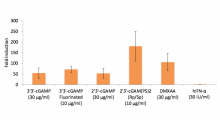 IFN-β induction (Lucia luciferase reporter)