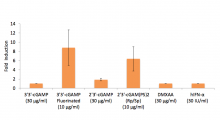 IFN-β induction (Lucia luciferase reporter)