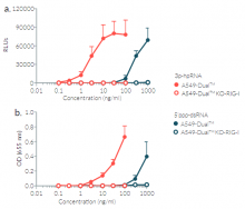 A549-Dual™ cellular response to 3p-hpRNA and 5`ppp-dsRNA