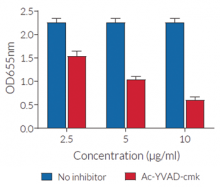 Ac-YVAD-cmk dose-dependent inhibition of NLRP3 inflammasome response in monocytes