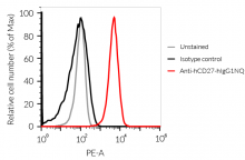 Binding of Anti-hCD27-hIgG1NQ mAb to hCD27