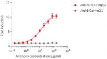 Disruption of CTLA4/CD80 inhibitory interaction