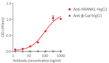 Validation of Anti-hRANKL-hIgG1 mAb by ELISA