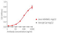 Validation of Anti-hRANKL-hIgG2 mAb by ELISA