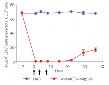 Validation of in vivo CD4 + T cell depletion using Anti-mCD4-mIgG2a InvivoFit™