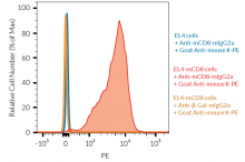 Validation of Anti-mCD8-mIgG2a binding by FACS