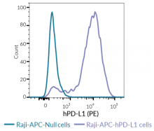 PD-L1 expression on Raji-APC-derived cells