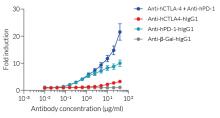 Disruption of PD-1/PD-L1 and CTLA4/CD80 inhibitory interaction 