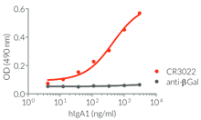 Binding of Anti-Spike-RBD hIgA1 to SARS-CoV-2 RBD