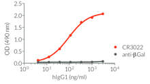 Binding of Anti-Spike-RBD hIgG1 to SARS-CoV-2 RBD