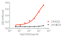 Binding of Anti-Spike-RBD hIgG1NQ to SARS-CoV-2 RBD