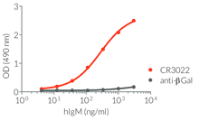 Binding of Anti-Spike-RBD hIgM to SARS-CoV-2 RBD