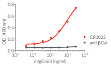 Binding of Anti-Spike-RBD mIgG1e3 to SARS-CoV-2 RBD