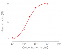 Evaluation of hIFN-γ inhibition