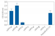 Cell line specificity of B16-Blue™ IFN-α/β cells