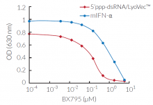 Dose-dependent inhibition of TBK1/IKKε signaling by BX795