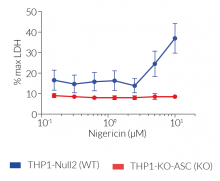 Absence of pyroptosis in THP1-KO-ASC cells