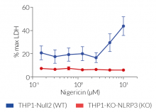 Absence of pyroptosis in THP1-KO-NLRP3 cells 