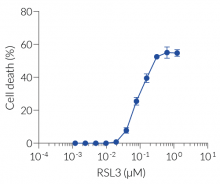 Ferroptosis induction by RSL3 (LDH readout)