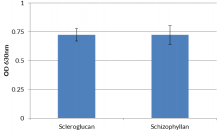 Evaluation of Scleroglucan and Schizophyllan in HEK-Blue™ hDectin-1b cells