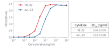 Evaluation of IL-22 response in HEK-Blue™ IL-22 Cells