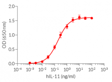 Cellular response to human IL-11