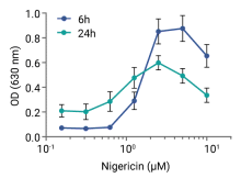 Induction of IL-1β secretion by monocytes upon treatment with Nigericin