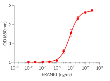 Dose-response in HEK-Blue™ RANKL cells to recombinant RANKL cytokine