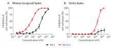 Dose-dependent inhibition of cell-cell fusion