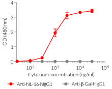 Detection of human IL-16 by ELISA